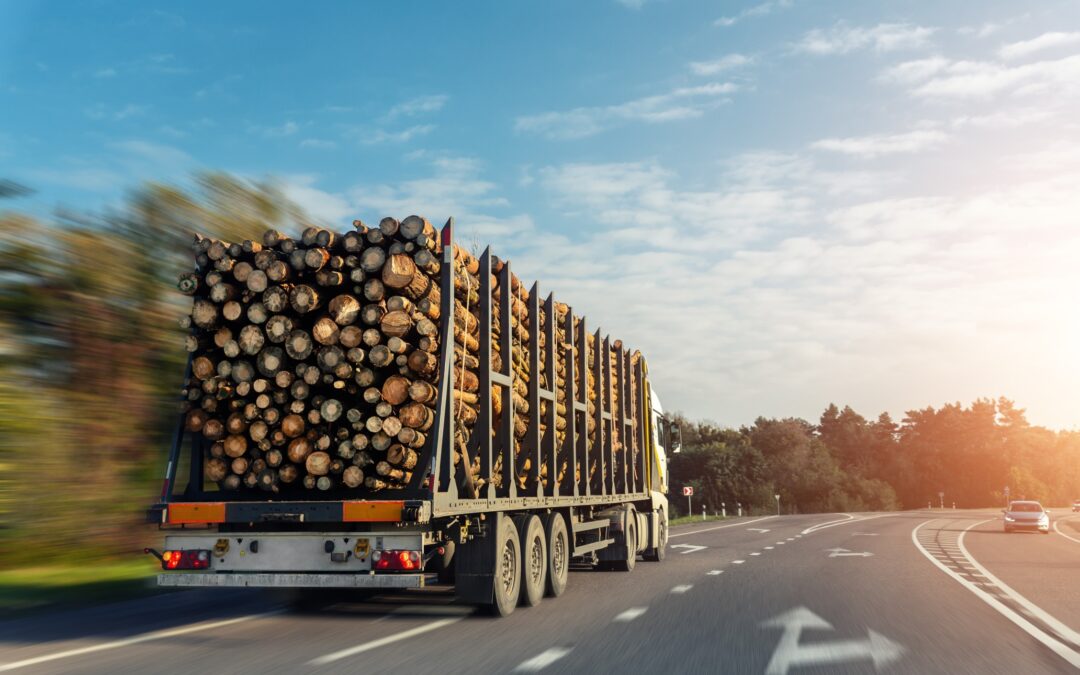 Illicit trade in the timber market under the sociological lens: the solution lies in the collaboration of the authorities and the industrial environment