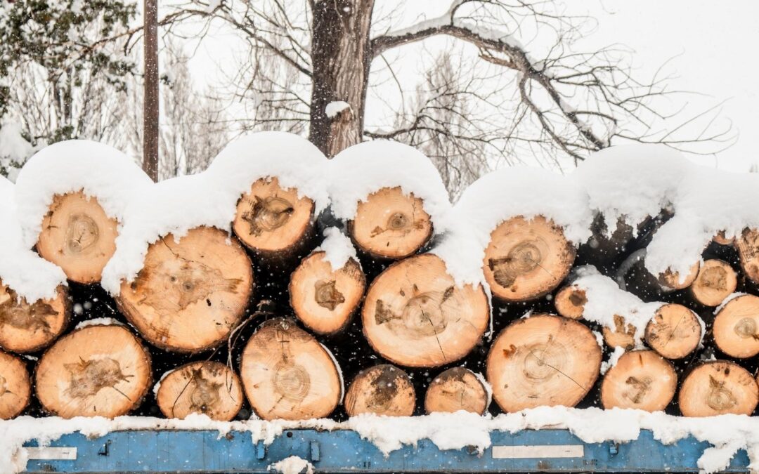 sondaj criza lemnului
