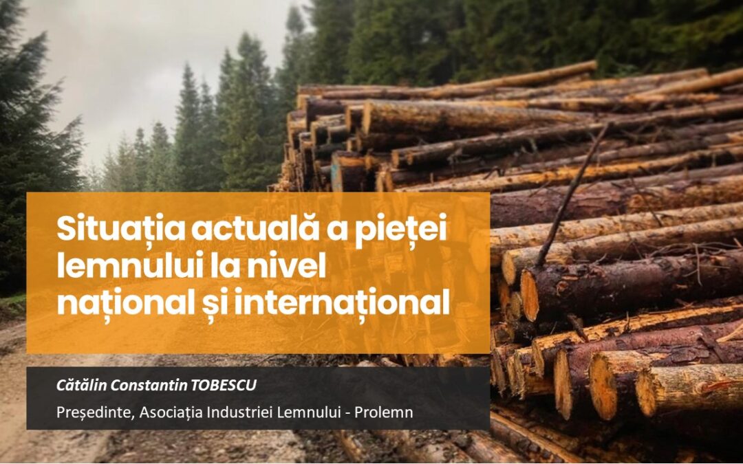 Analiză Prolemn: În condițiile crizei artificiale de resurse, prețuri pentru resursa de lemn, cu 40-50% mai mari în România decât pe piețele internaționale! Măsuri necesare pentru normalizarea pieței